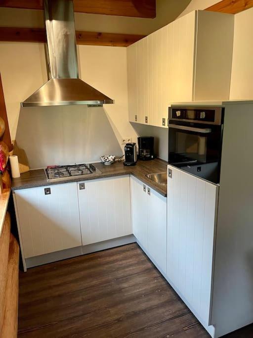 Unieke Houten Villa Met Sauna In Twente - 6P Den Ham Eksteriør billede