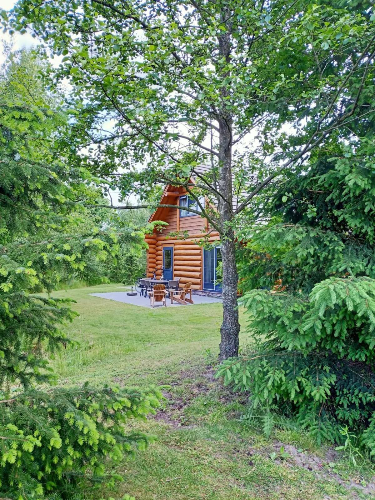 Unieke Houten Villa Met Sauna In Twente - 6P Den Ham Eksteriør billede