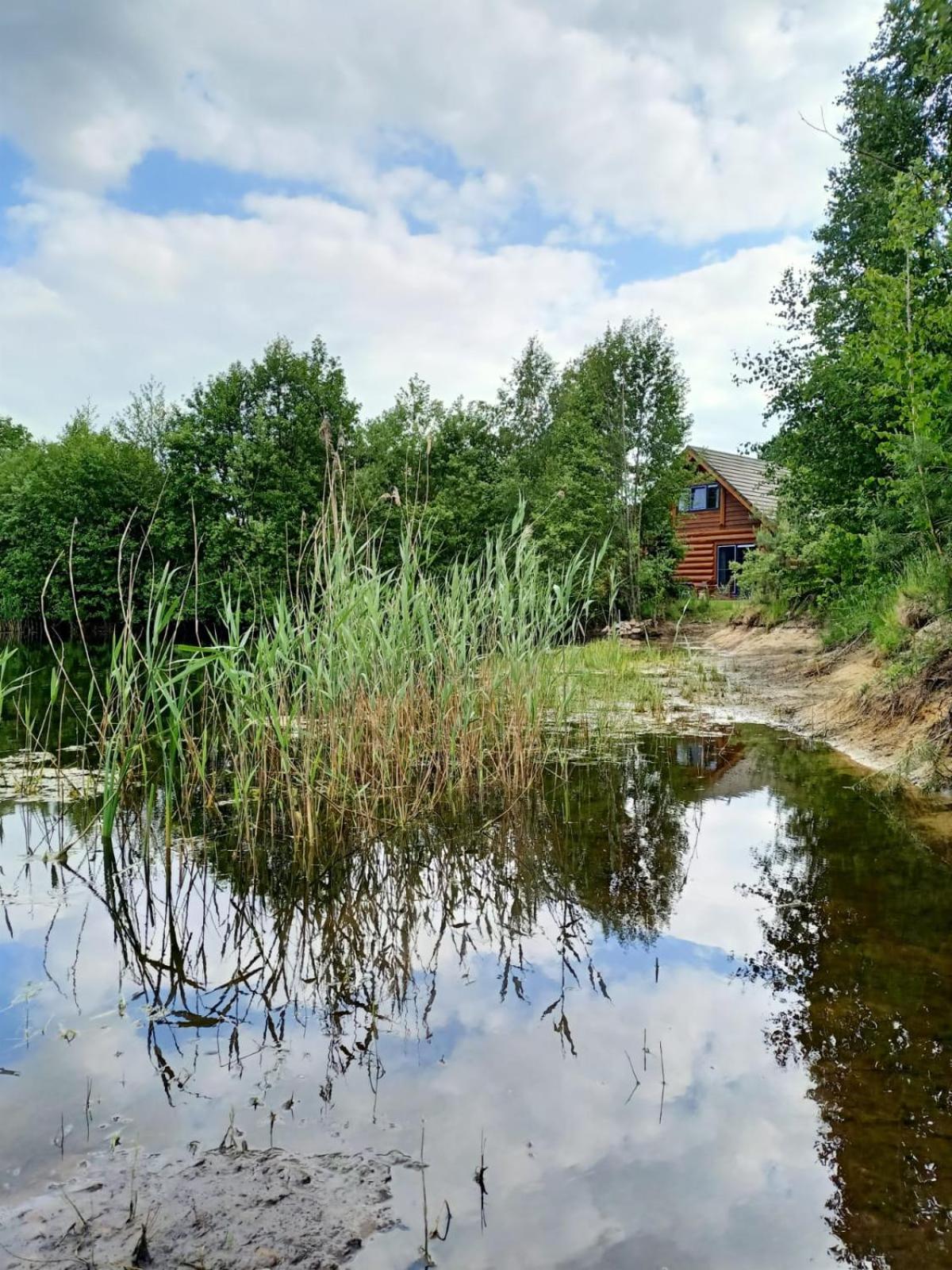 Unieke Houten Villa Met Sauna In Twente - 6P Den Ham Eksteriør billede